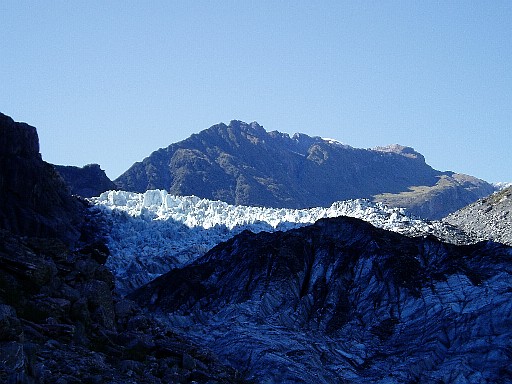Fox Glacier