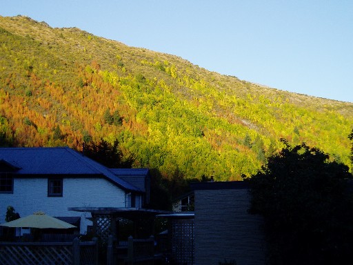 Autumn foliage, Arrowtown