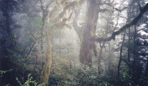 Hike to Lake Marion