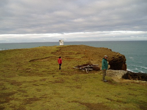 Slope Point, the southernmost point of NZ's South Island Slope Point, the southernmost point of NZ's South Island
