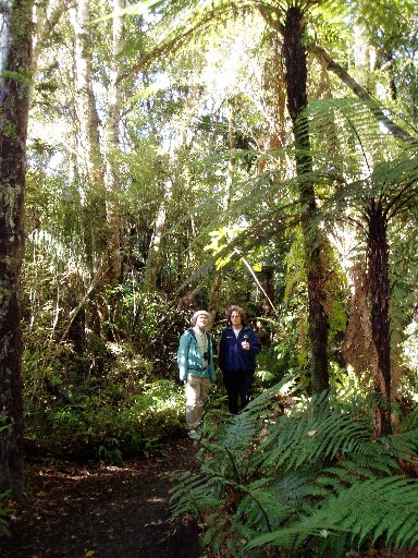 Craig and Stan hiking through the forest