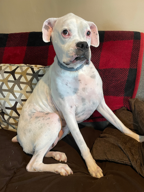 Roxy