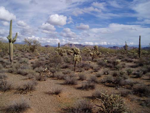 Scenery on trail ride Scenery on trail ride