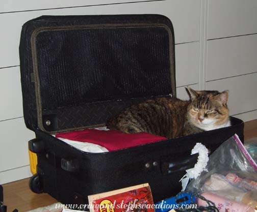 Brownie wants to stow awa Brownie wants to stow away