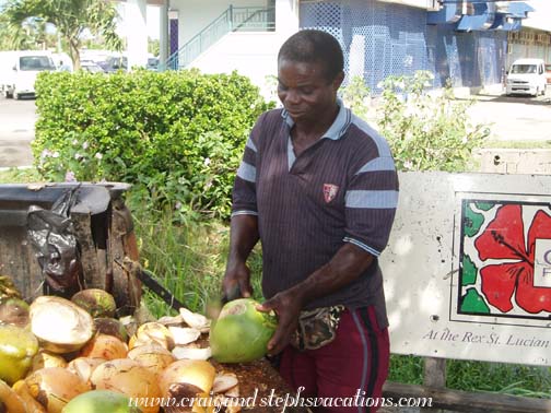Coconuts for sale Coconuts for sale