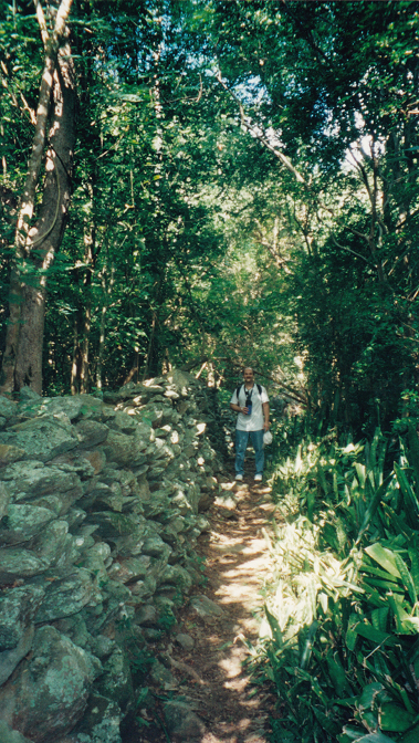 Reef Bay Trail