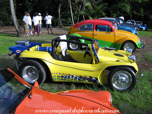Bugs and Dune Buggies Bugs and Dune Buggies