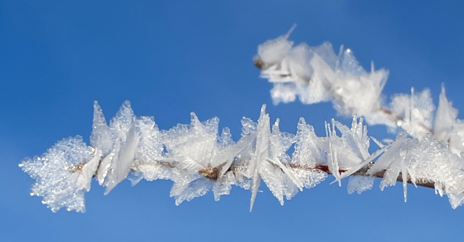 Hoarfrost