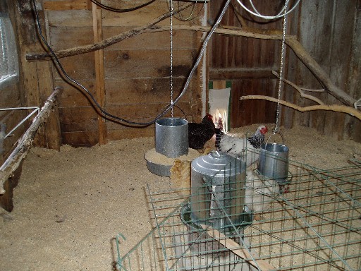 The chicken coop