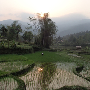 Northern Vietnam 3/9/2013 - 3/26/2013